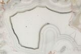 Polished Banded Agate Nodule Section - Aouli, Morocco #187229-1